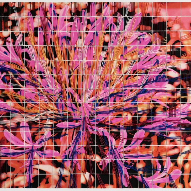 PM_Flowers 03